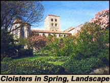 The Cloisters Series - The Cloisters in Spring (Landscape)